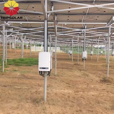 Installationsstandort für offene Felder Solar-Array Bodenmontage-System mit individuellem Design
