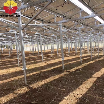 Installationsstandort für offene Felder Solar-Array Bodenmontage-System mit individuellem Design
