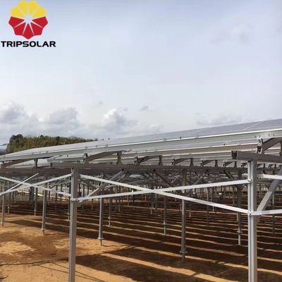 Installationsstandort für offene Felder Solar-Array Bodenmontage-System mit individuellem Design